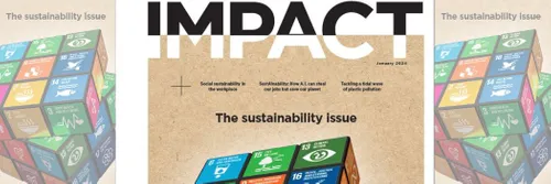 Image of IMPACT magazine issue 13 cover showing sustainability Rubiks cube