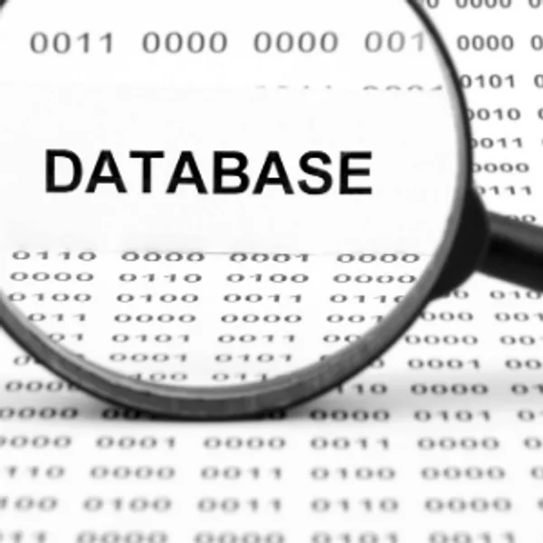 Database Icon